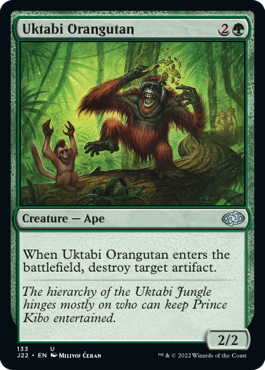 Picture of Uktabi Orangutan                 